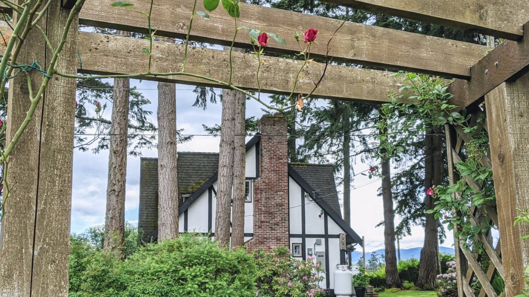 Garden pergola